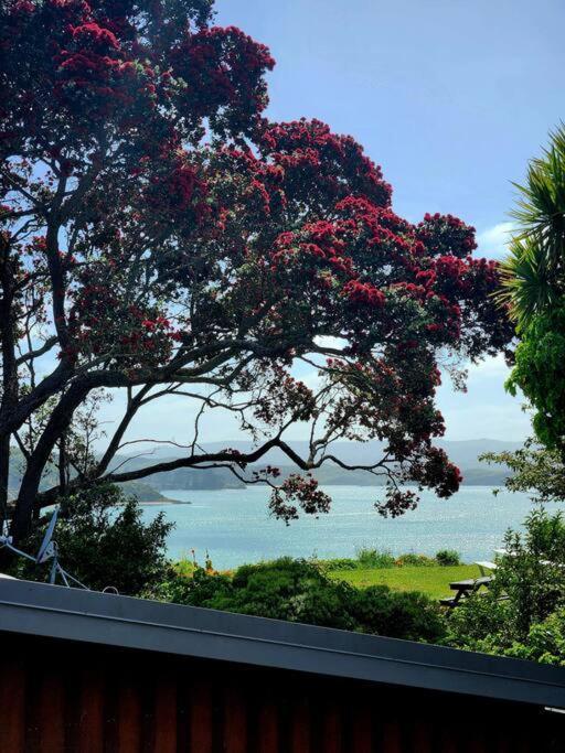 Orca Lodge Raglan Zewnętrze zdjęcie